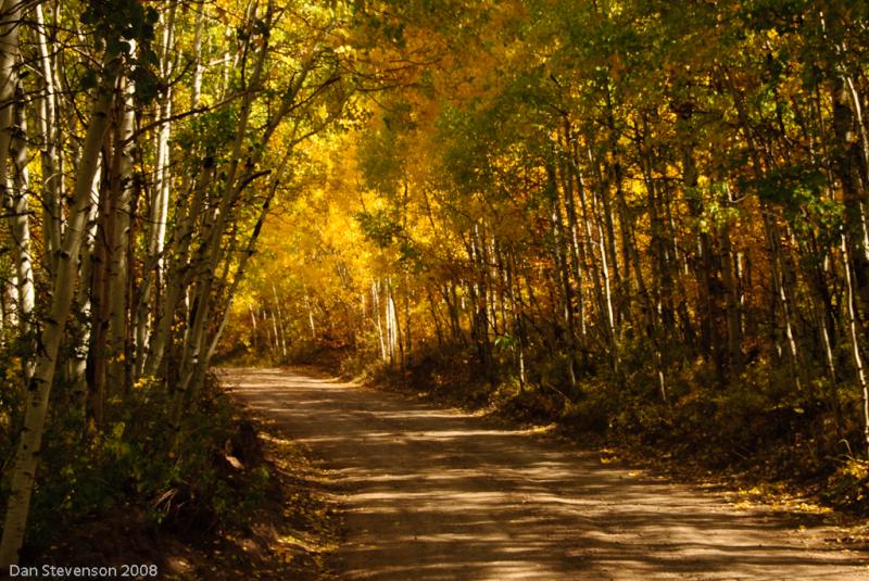 Colorado Fall Colors-4876 - Shadows ©2008 Dan Stevenson